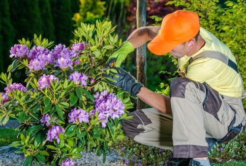 Local garden landscaping ideas for a Bayswater residential front yard