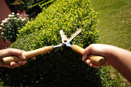 Free quote policy for Landscaping Bayswater services