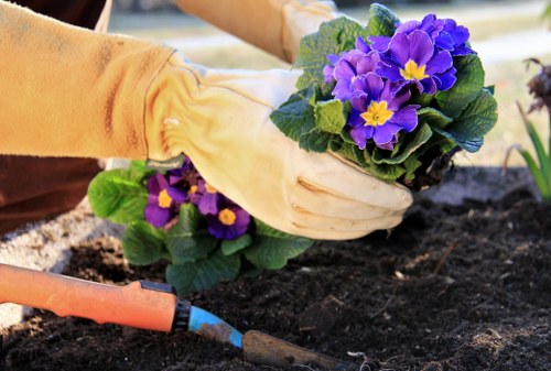 Screen-reader friendly landscaping in Bayswater content structure