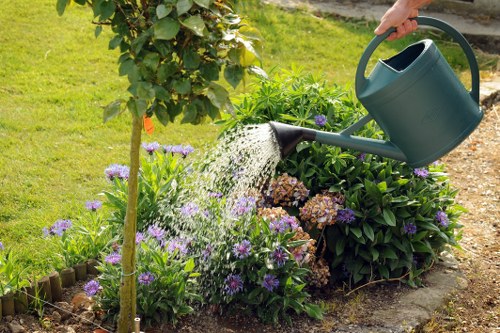 Safe and professional landscaping service in Bayswater