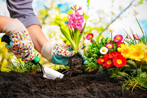Site inspection during a landscaping complaint assessment