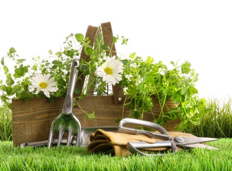 Sustainable landscaping waste separation and reuse in Bayswater