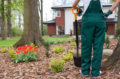 Staff training and safe landscaping procedures in Bayswater