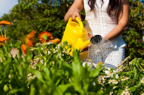 Waste removal and site clearance during landscaping
